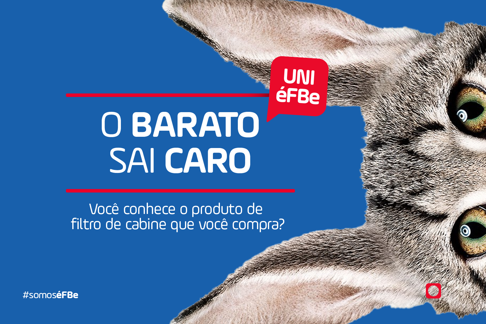 Não troque gato por lebre: alerta sobre a qualidade do meio filtrante 